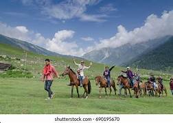 Sonamarg Horse Riding Tour